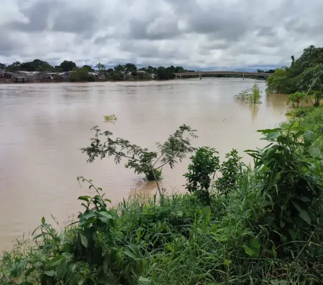 Rio Iaco (Foto: Defesa Civil)