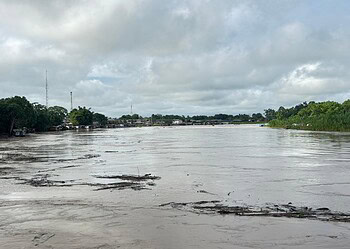 Rio Envira em Feijó (Foto: Defesa Civil)
