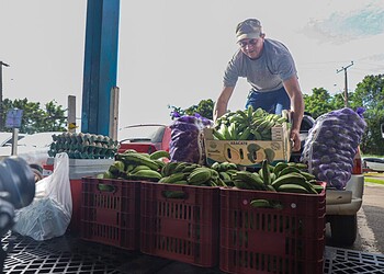 Foto: Neto Lucena/Secom