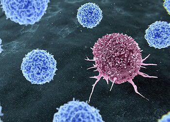 Thom Leach/Science Photo Library/Getty Images