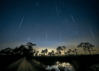 Foto: wenbin/Getty Images
