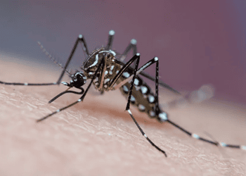 Foto: Joao Paulo Burini/Getty Images