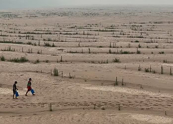 Ribeirinhos carregam galões de água enquanto atravessam bancos de areia do rio Madeira até a comunidade Paraizinho, em meio à pior seca da história. Humaitá, Amazonas. — Foto: Bruno Kelly/Reuters