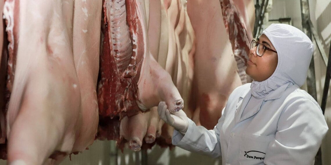 Segundo a Seict, carne suína está entre as produções com maior potencial de crescimento com o novo acordo. Foto: cedida
