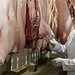 Segundo a Seict, carne suína está entre as produções com maior potencial de crescimento com o novo acordo. Foto: cedida