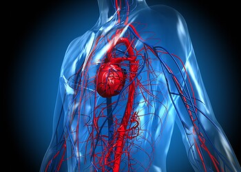 Artpartner-images/Getty Images