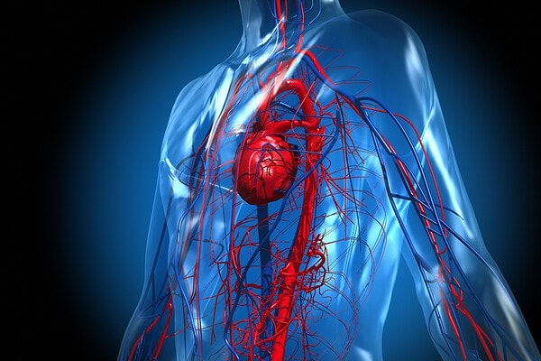 Especialista em AVC aponta as piores bebidas para a saúde vascular