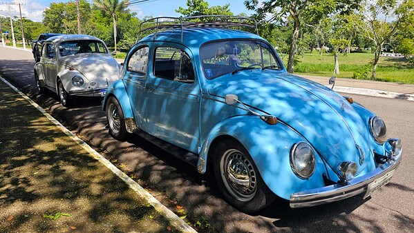 Unidos pelo Fusca: casal transforma paixão por carros antigos em história de amor