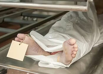 Pacientes nos EUA se submetem a procedimentos estéticos com gordura extraída de cadáveres 2 Imagem meramente ilustrativa — Foto: Reprodução/Wikipedia