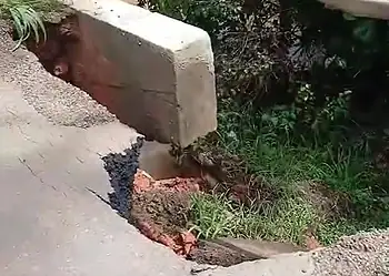 Erosão em ponte da BR-364 leva DNIT a iniciar obras emergenciais; reparo deve ser finalizado até terça-feira 5 A ponte fica localizada entre Bujari e Sena Madureira, na BR-364. Foto: Reprodução