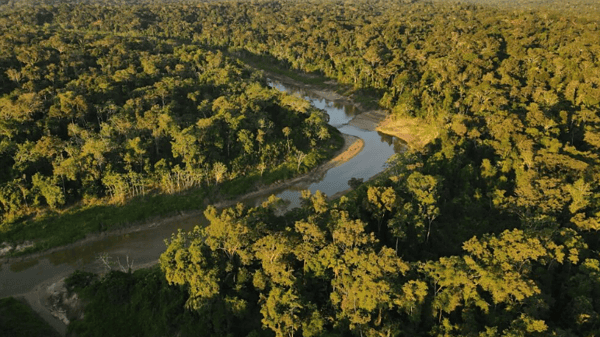 Parques do Acre entram em catálogo nacional de observação de aves e reforçam potencial do ecoturismo
