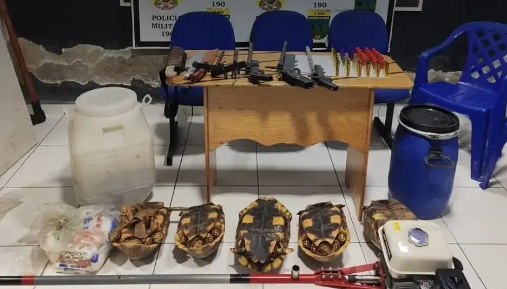 A operação foi realizada pela PM em conjunto com o ICMBio. Foto: Reprodução