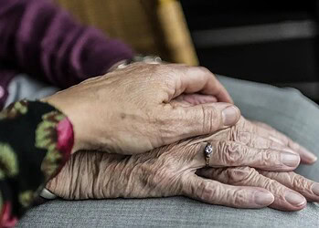 Foto: Sabinevanerp/ Pixabay