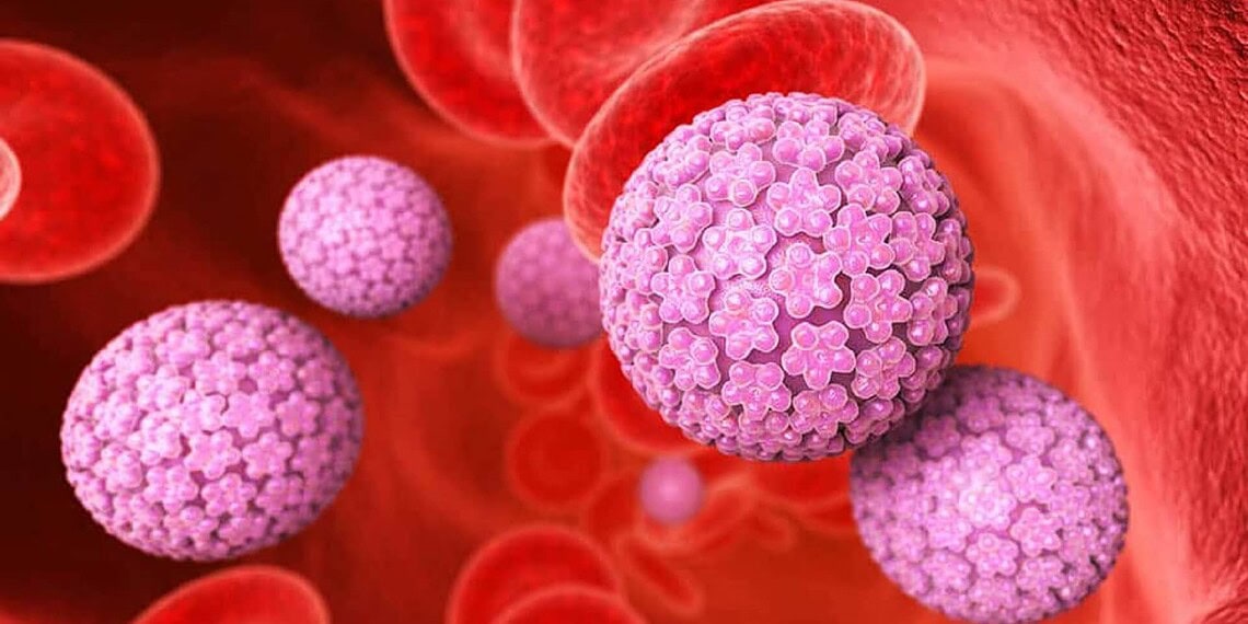 HPV: 597 mortes são registradas por câncer de vulva e vagina no Brasil 1 Foto: Ilustração-