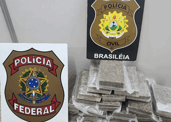 Droga estava dividida em 20 tabletes e seria distribuída na região de fronteira. Foto: Reprodução