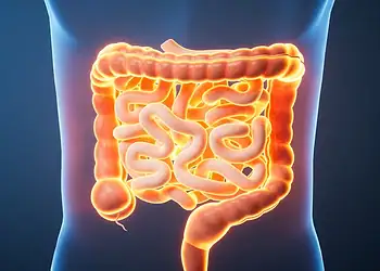 Foto: Jian Fan/Getty Images