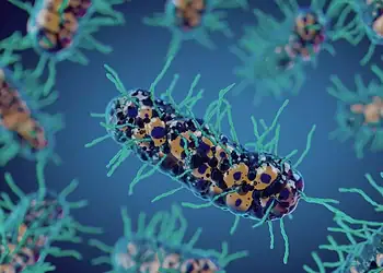 Foto: Alllex/ Getty Images