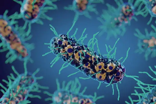 Cientistas testam bactéria do solo que pode “comer” células do câncer