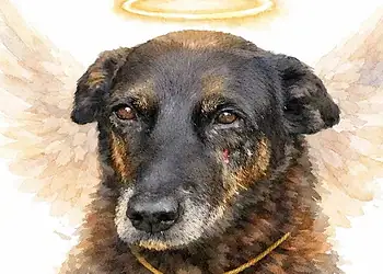 Foto: Reprodução/ Redes Sociais