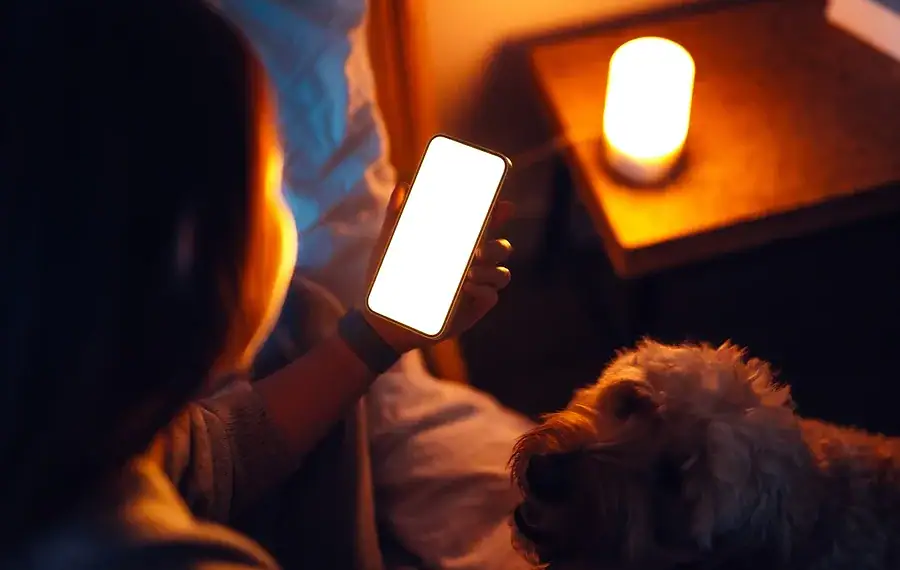 O que a ciência diz sobre o hábito de vigiar o ex nas redes sociais 1 Foto: Oscar Wong/Getty Images