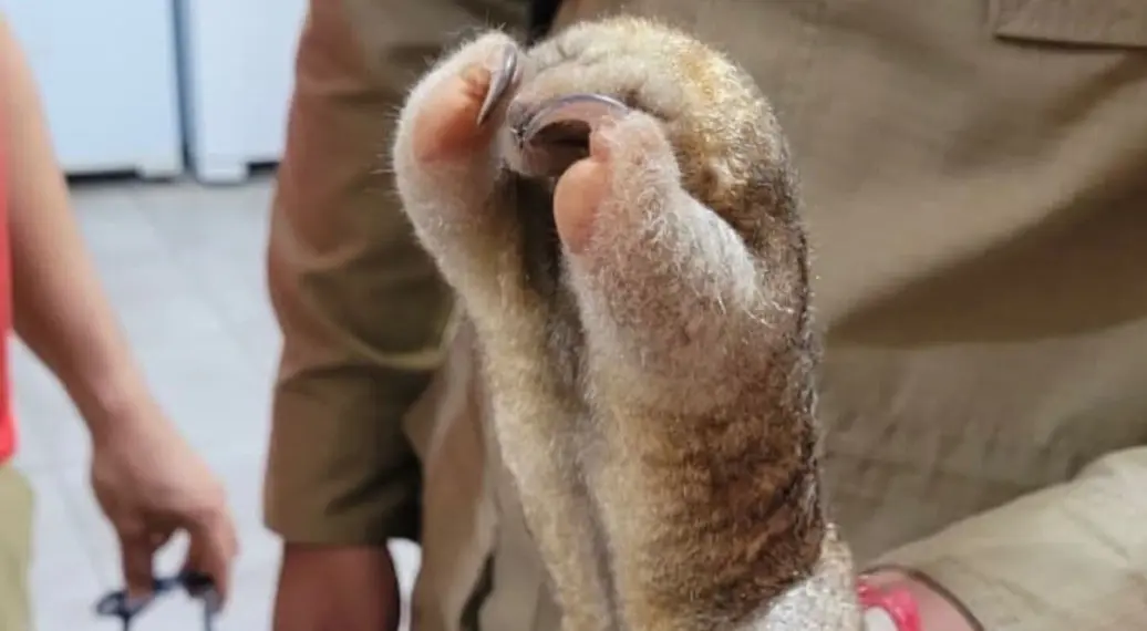 Foto: Reprodução/Instagram