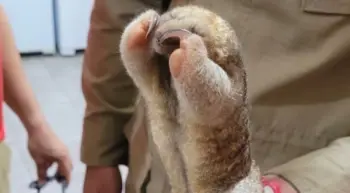 Foto: Reprodução/Instagram