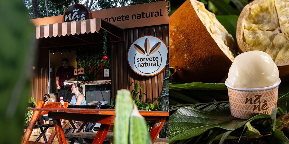 Nãnê Sorvetes (Foto: Montagem)