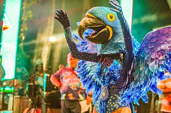 FOTOS: Sete candidatas disputam o título de Rainha Trans do Carnaval 2026 em Rio Branco