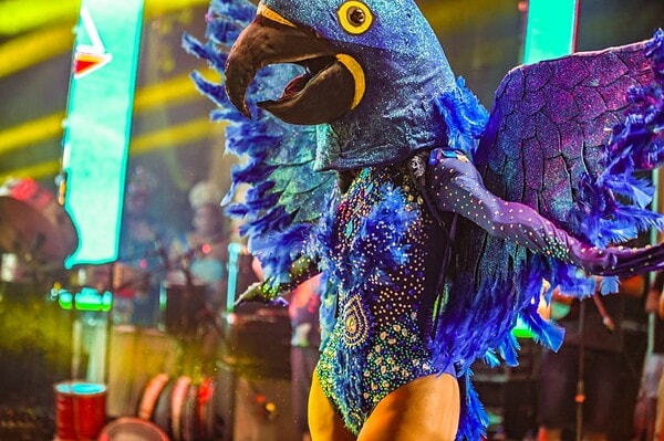 FOTOS: Sete candidatas disputam o título de Rainha Trans do Carnaval 2026 em Rio Branco