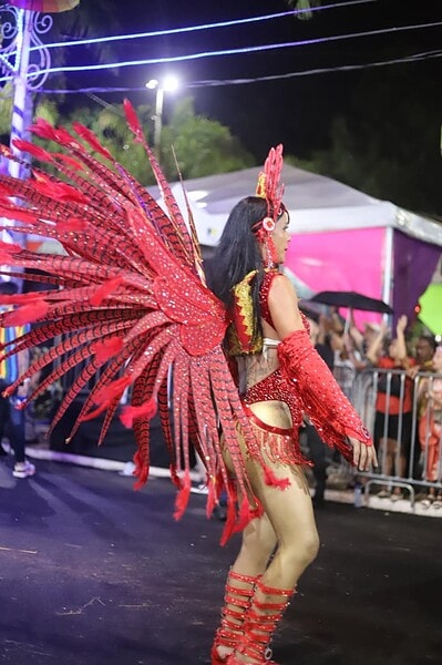Espiritualidade e samba: Unidos do Fuxico abre o desfile dos blocos com o enredo “Daime Luz”
