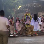 GALERIA DE FOTOS: Perdeu o desfile do Unidos do Fuxico? Veja os destaques da abertura do concurso de blocos 17 GALERIA DE FOTOS: Perdeu o desfile do Unidos do Fuxico? Veja os destaques da abertura do concurso de blocos