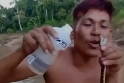VÍDEO: Homem dá álcool a cobra, arranca cabeça com a boca e joga restos no rio no interior do Acre