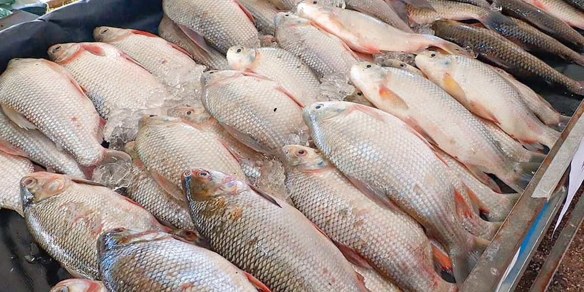 (Foto: Marcos Araújo/Secom)