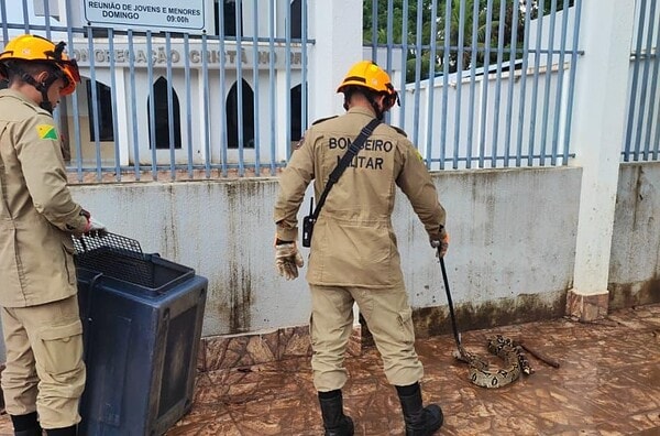 Bombeiros resgatam jiboia de dois metros na entrada de igreja no Taquari