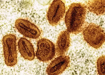 Mais dois casos de mpox são confirmados em Rondônia; total sobe para seis 4 Imagem de microscópio eletrônico mostra partículas do vírus da mpox, em laranja, encontradas dentro de células infectadas, em verde. — Foto: NIAID