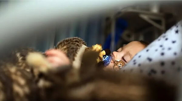 Acre entra em alerta por aumento de casos de síndrome respiratória grave, aponta Fiocruz