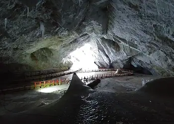 Estudo encontra bactéria ancestral resistente a 10 antibióticos atuais 2 Foto: Divulgação/Paun VI