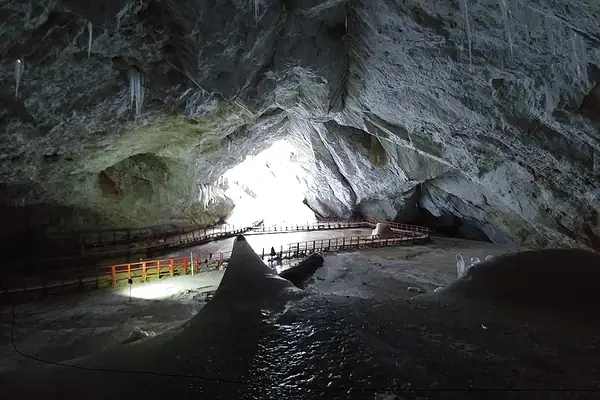 Estudo encontra bactéria ancestral resistente a 10 antibióticos atuais