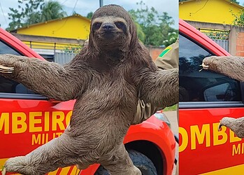 Foto: Reprodução/Instagram