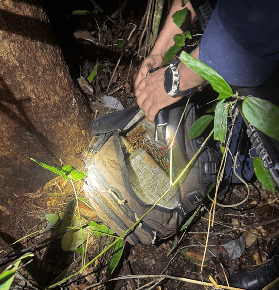 Quatro são presos durante operação das forças de segurança na Transacreana
