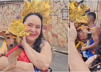 CarnavAu animal! Cachorrinha Nachely volta a brilhar no bloco Vai Quem Quer em Rio Branco