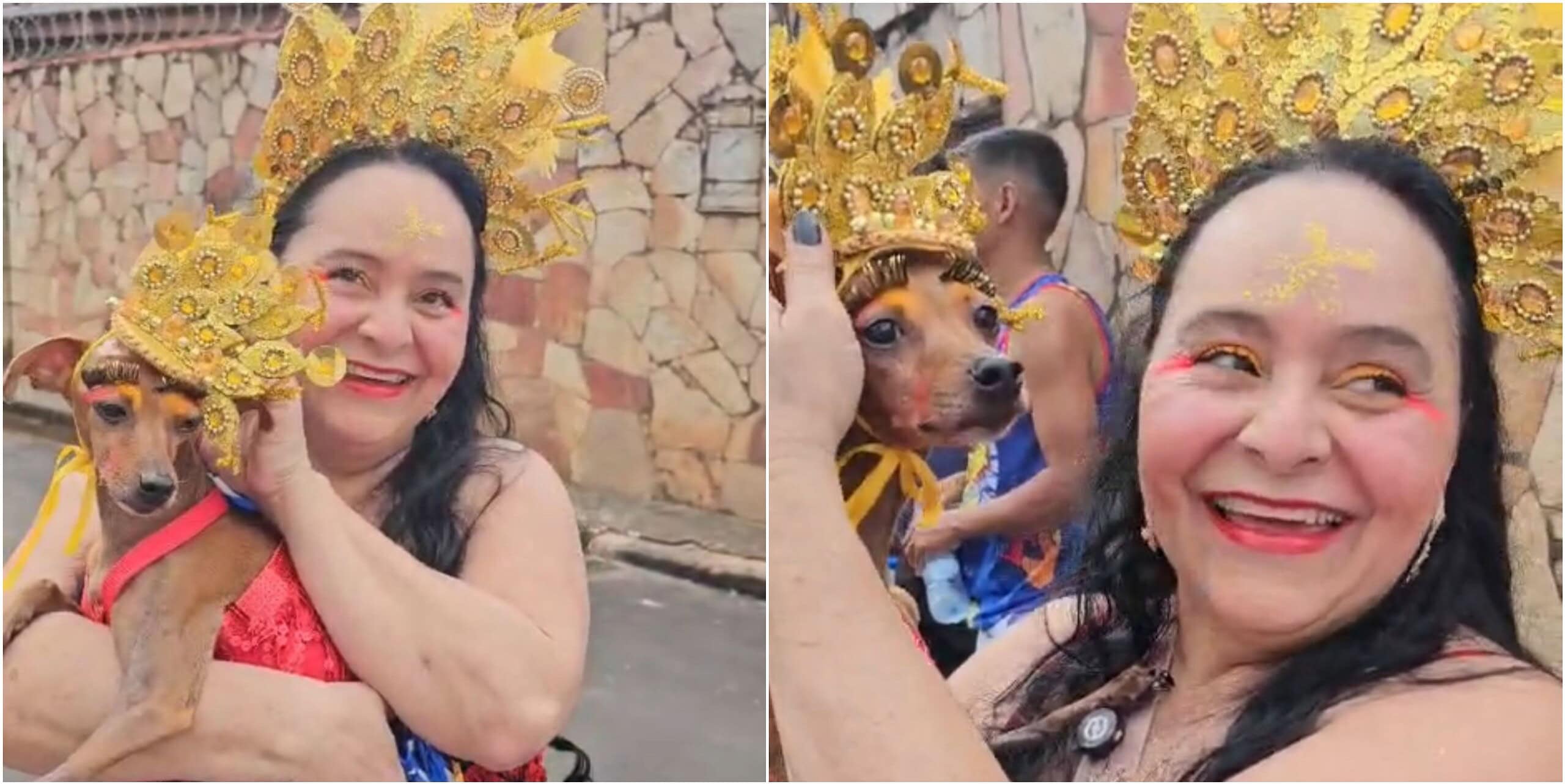 CarnavAu animal! Cachorrinha Nachely volta a brilhar no bloco Vai Quem Quer em Rio Branco 1 CarnavAu animal! Cachorrinha Nachely volta a brilhar no bloco Vai Quem Quer em Rio Branco