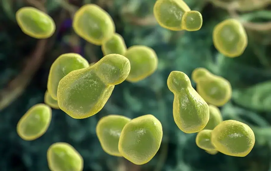 Foto: Kateryna Kon/ Science Photo Library/Getty Images