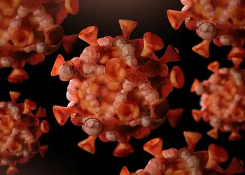 Foto: Uma Shankar sharma/Getty Images