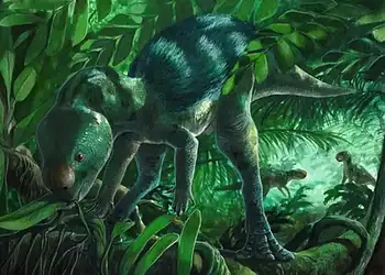 Foto: Martina Charnell/ Reprodução X