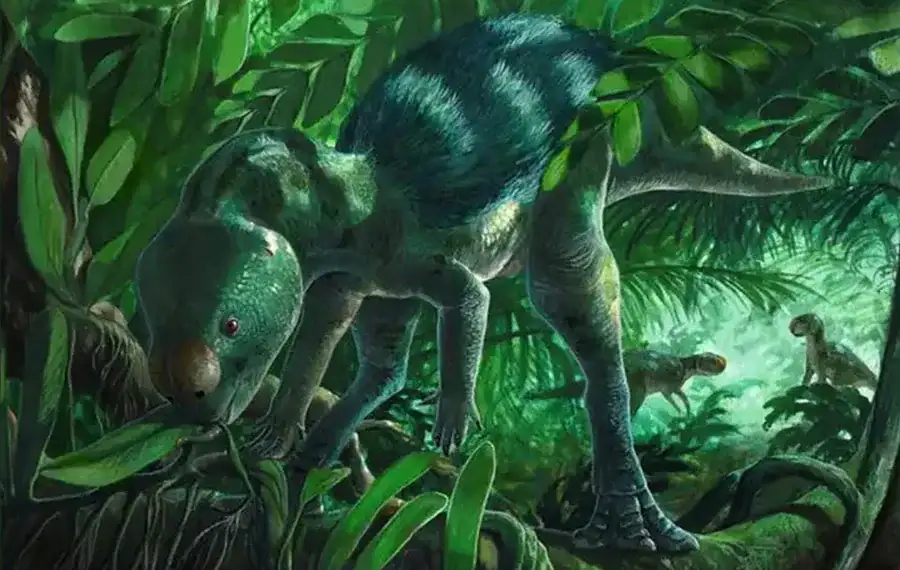 Foto: Martina Charnell/ Reprodução X