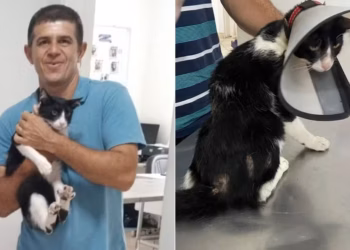 Tutor contrai doença infecciosa após arranhão do gato, faz tratamento e se cura junto com animal 2 Divanilson Paiva adoeceu e se curou junto com gato de estimação em Guarujá (SP) — Foto: Divulgação/Prefeitura de Guarujá