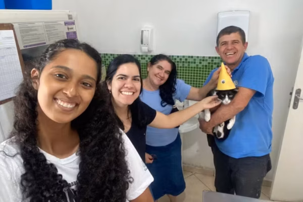 Tutor contrai doença infecciosa após arranhão do gato, faz tratamento e se cura junto com animal