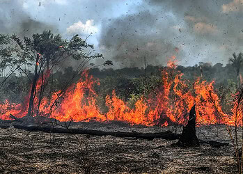 O Acre entrou na lista de alerta. Foto: Reprodução