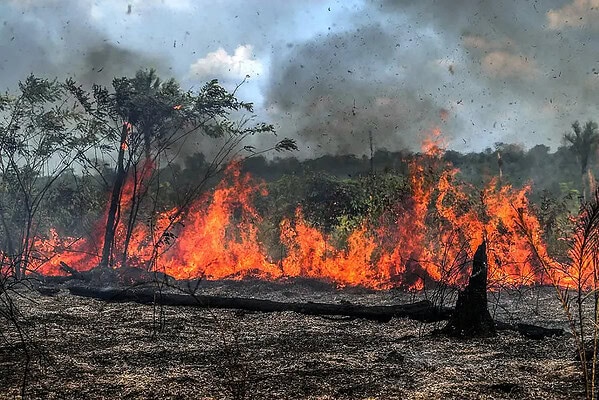 Acre entra em estado de emergência ambiental por risco de incêndios florestais até dezembro de 2026
